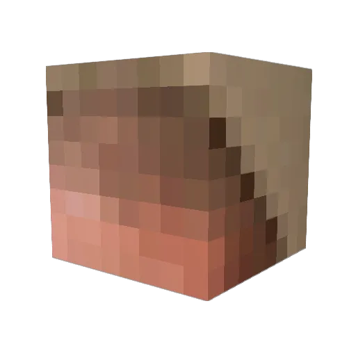 Iluvfud Minecraft avatar head, 3D render