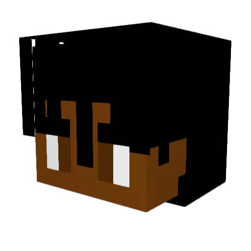 Iluxhaha Minecraft avatar head, 3D render