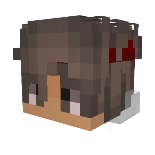 IlyRooster Minecraft avatar head, 3D render
