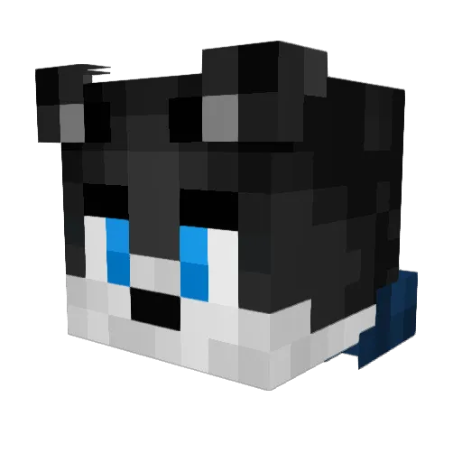 Ilyas7 Minecraft avatar head, 3D render