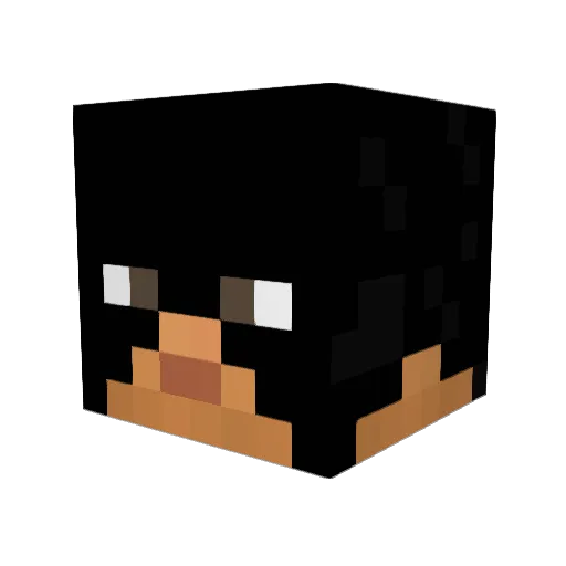 Ilyee50 Minecraft avatar head, 3D render