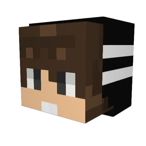 Im06 Minecraft avatar head, 3D render