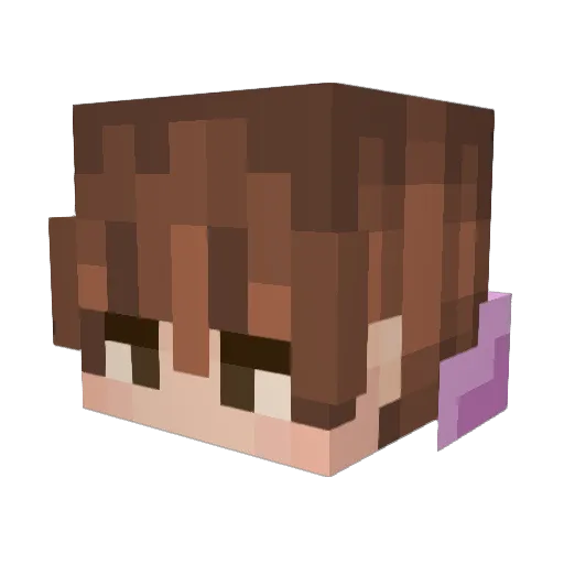 Im0rtal06 Minecraft avatar head, 3D render