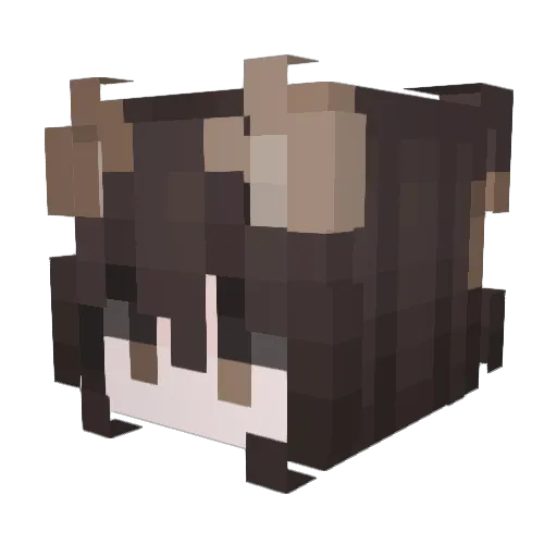 ImADinosoar Minecraft avatar head, 3D render