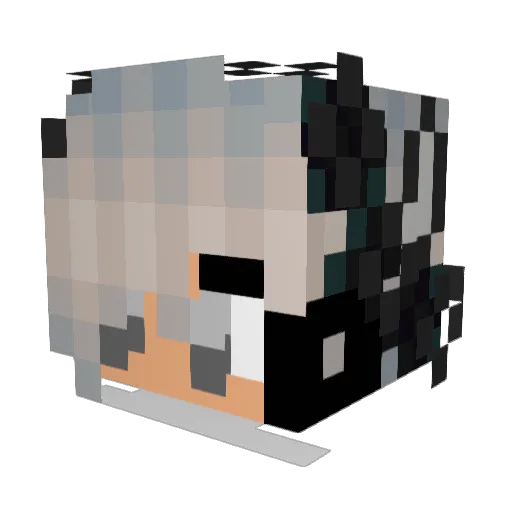 ImAGirl_ Minecraft avatar head, 3D render