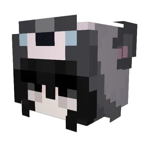 ImALivingBeing Minecraft avatar head, 3D render
