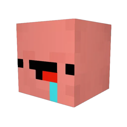 ImALooser Minecraft avatar head, 3D render