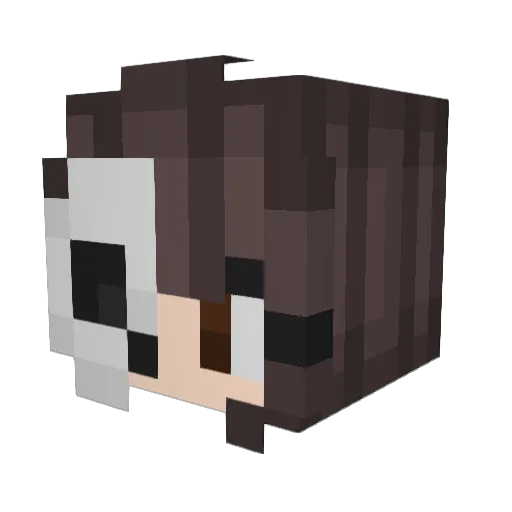 ImAPickle2 Minecraft avatar head, 3D render
