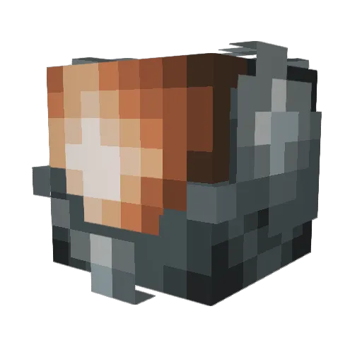 ImASalad Minecraft avatar head, 3D render