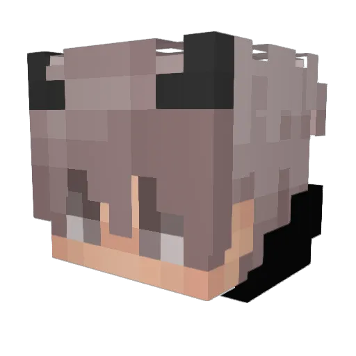 ImAgus123 Minecraft avatar head, 3D render