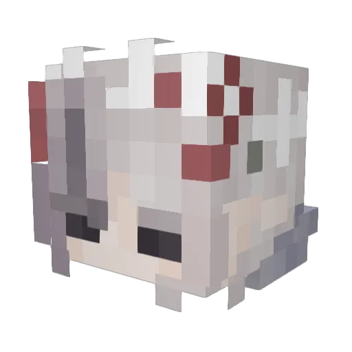 ImAlex001 Minecraft avatar head, 3D render