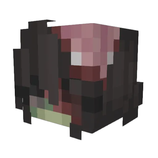 ImAlwaysWrong Minecraft avatar head, 3D render