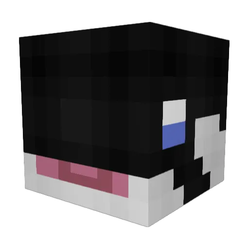ImAnOrca Minecraft avatar head, 3D render