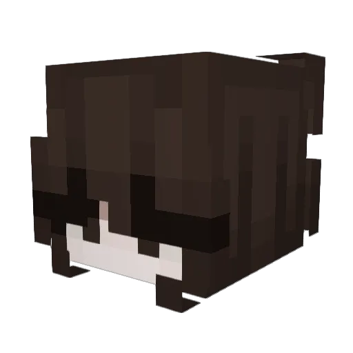 ImArcane Minecraft avatar head, 3D render