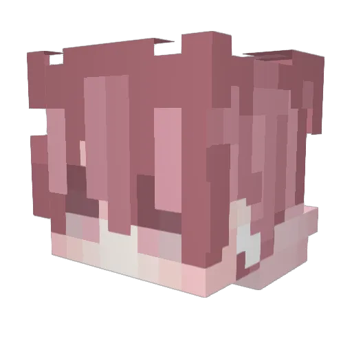 ImArden Minecraft avatar head, 3D render
