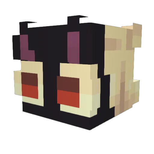 ImBirb Minecraft avatar head, 3D render