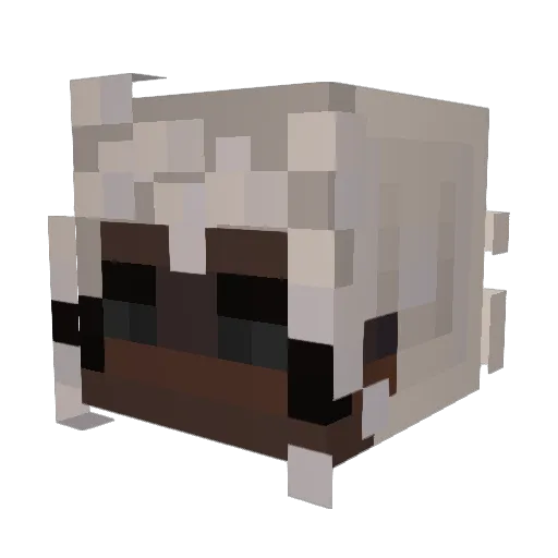 ImBlaireBTW Minecraft avatar head, 3D render