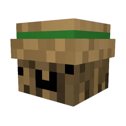 ImBobrous Minecraft avatar head, 3D render