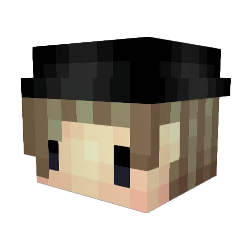 ImBrandonn_nGay Minecraft avatar head, 3D render
