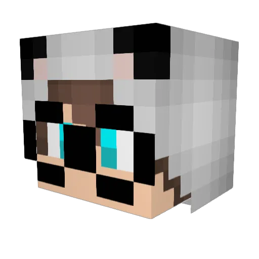 ImBryanRules Minecraft avatar head, 3D render