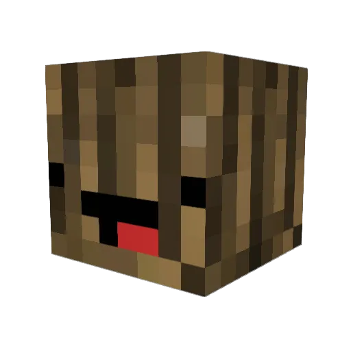 ImCactusIRL Minecraft avatar head, 3D render