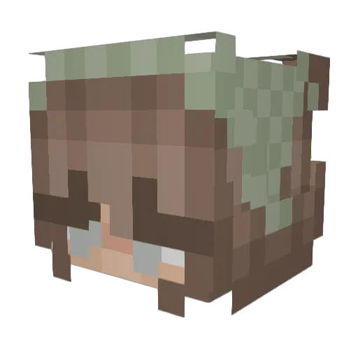 ImChooples Minecraft avatar head, 3D render