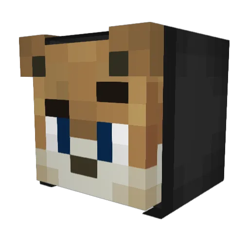ImConfuised Minecraft avatar head, 3D render