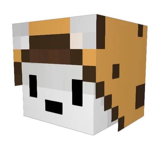ImDani47_x Minecraft avatar head, 3D render