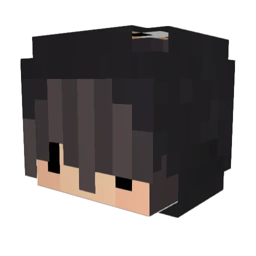 ImDeveloper Minecraft avatar head, 3D render