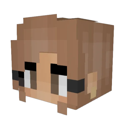 ImDirtyDan2425 Minecraft avatar head, 3D render