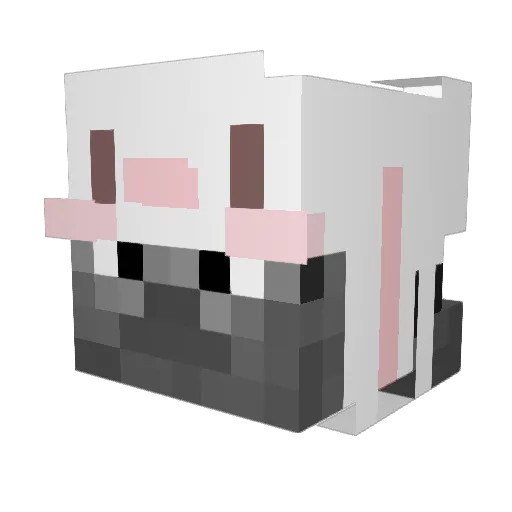 ImEdgin Minecraft avatar head, 3D render