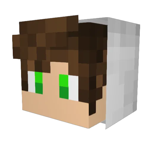 ImElected Minecraft avatar head, 3D render