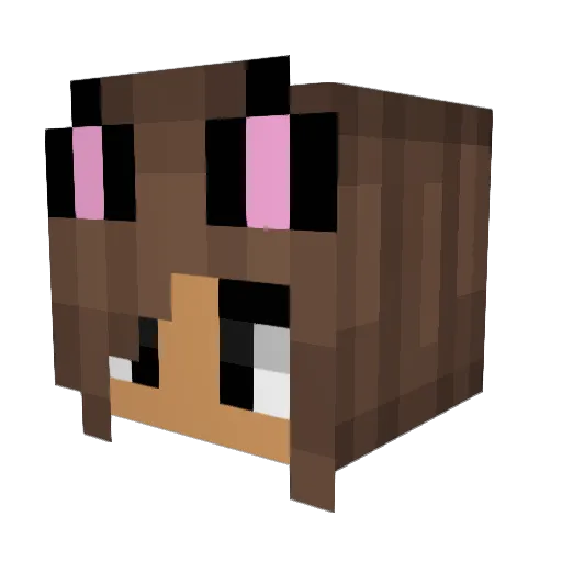 ImElliie Minecraft avatar head, 3D render