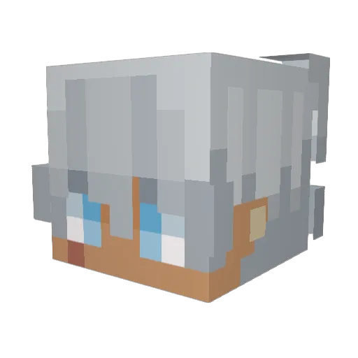 ImFerret07 Minecraft avatar head, 3D render