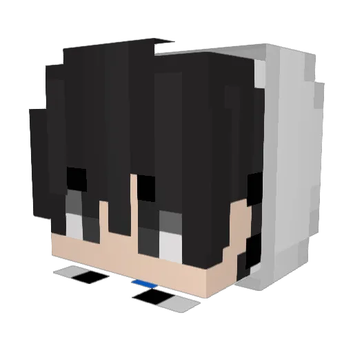 ImFinnaEatPie Minecraft avatar head, 3D render