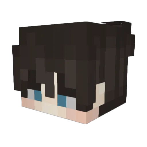 ImFinplay Minecraft avatar head, 3D render