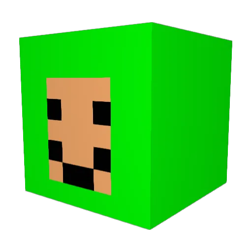 ImGay4Memes Minecraft avatar head, 3D render