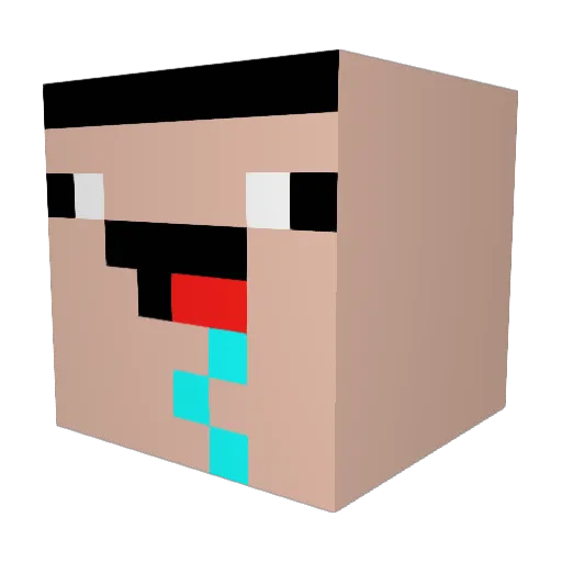 ImGonnaPoop12 Minecraft avatar head, 3D render