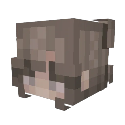 ImHappier Minecraft avatar head, 3D render