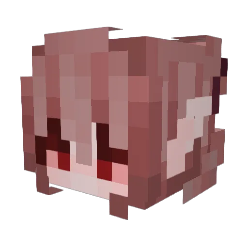 ImHarley Minecraft avatar head, 3D render