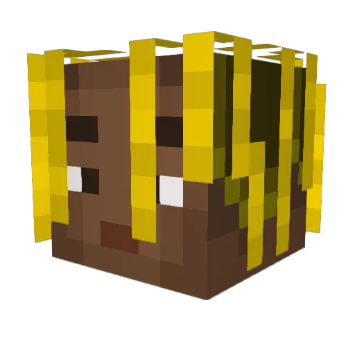 ImHip Minecraft avatar head, 3D render