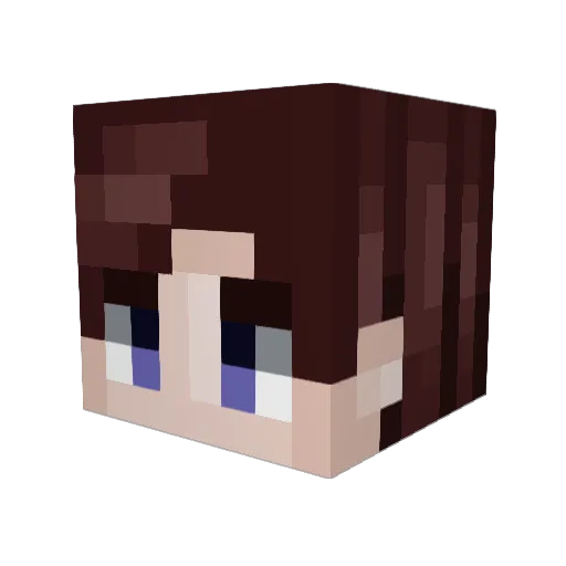 ImInkxmpetent Minecraft avatar head, 3D render