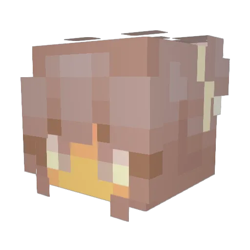 ImJaidyn Minecraft avatar head, 3D render