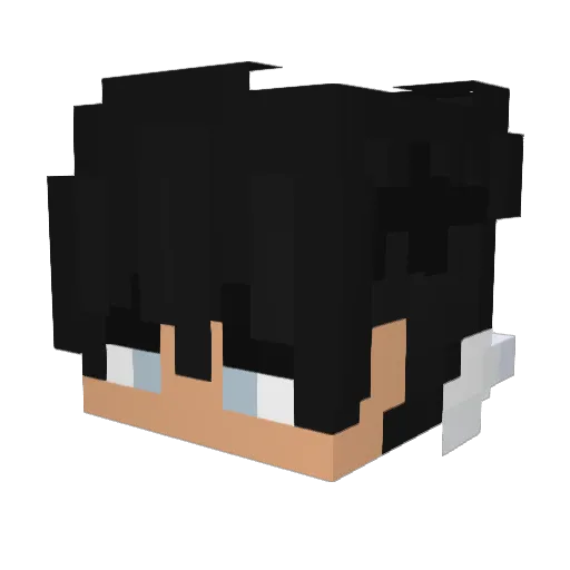 ImJuanBread Minecraft avatar head, 3D render