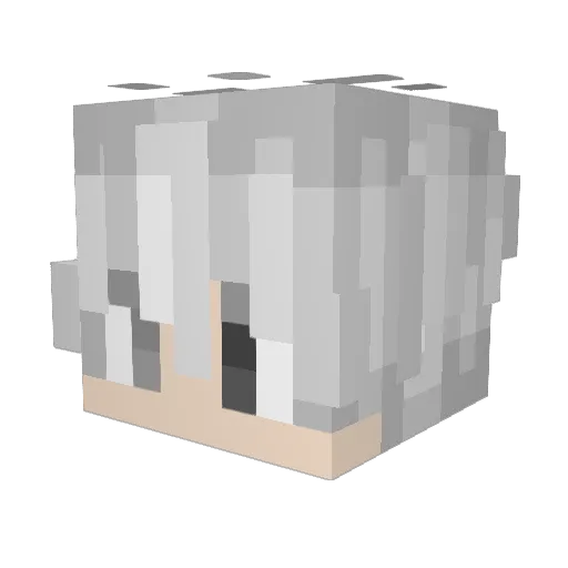 ImJustAnother Minecraft avatar head, 3D render