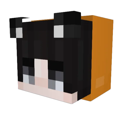 ImKevinTbh Minecraft avatar head, 3D render