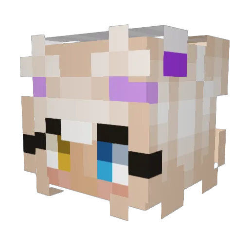 ImKryzpo25 Minecraft avatar head, 3D render