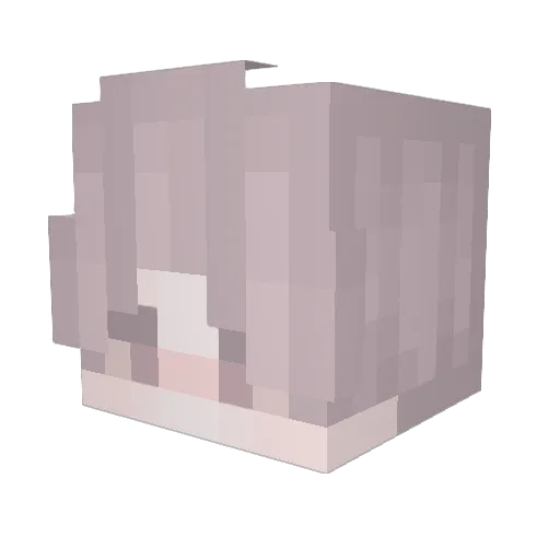 ImLeVen1337 Minecraft avatar head, 3D render