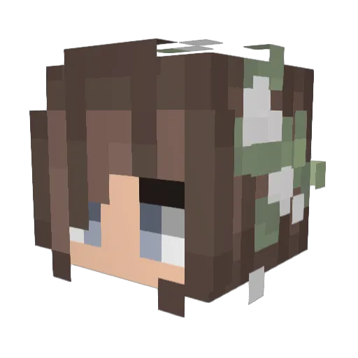 ImMsBirD Minecraft avatar head, 3D render
