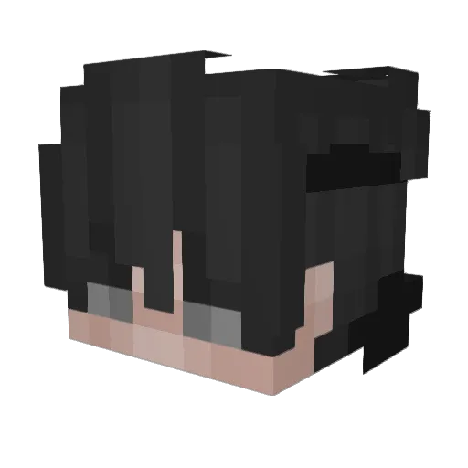 ImNoToxic Minecraft avatar head, 3D render